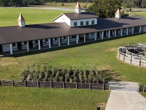 Tiny photo for 1345 NE 155 Place, Citra, FL 32113 (MLS # OM713645)