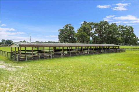 Tiny photo for 1345 NE 155 Place, Citra, FL 32113 (MLS # OM713645)