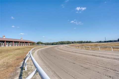 Tiny photo for 1345 NE 155 Place, Citra, FL 32113 (MLS # OM713645)