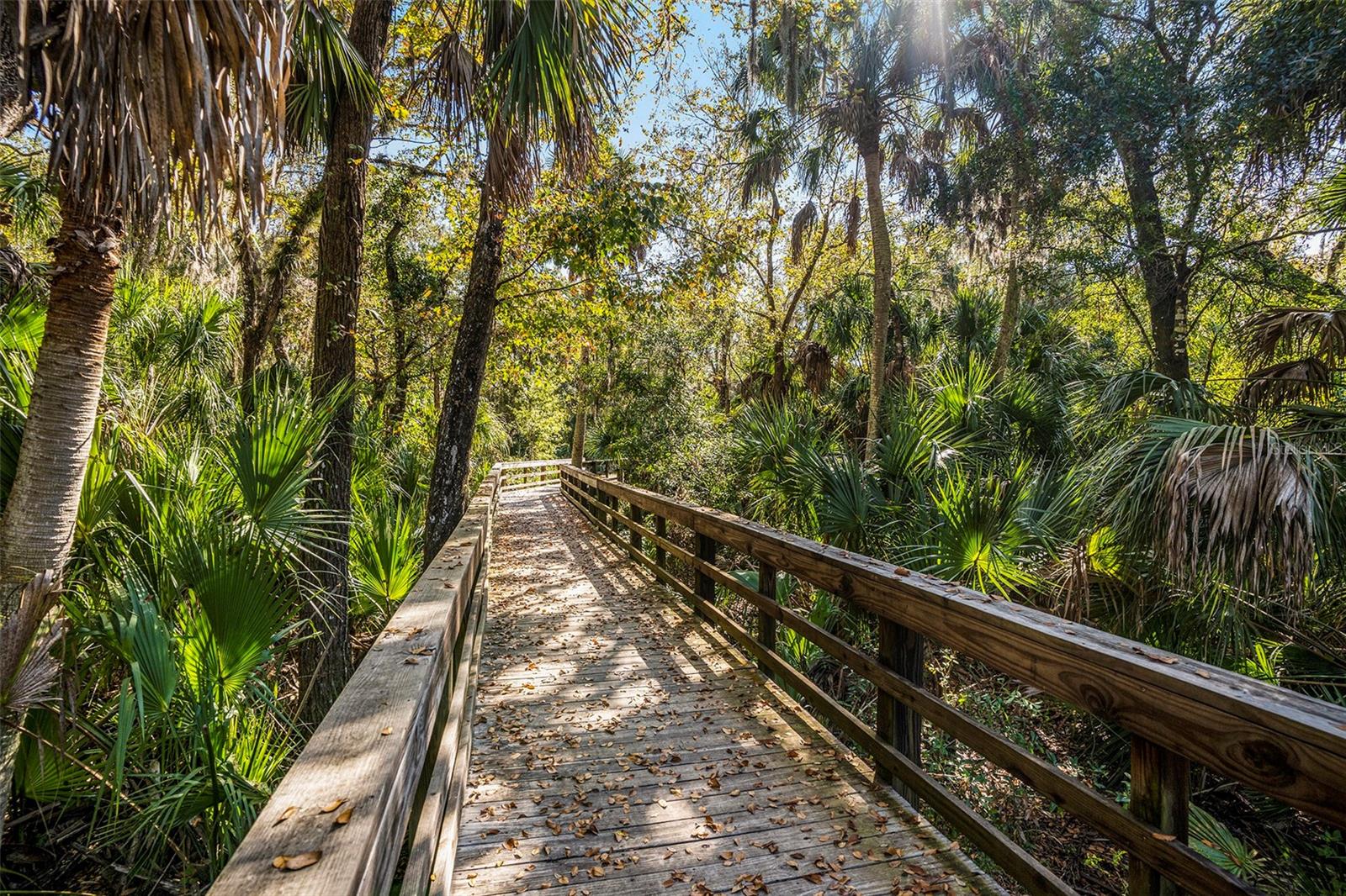 TUSCANY WOODS PRESERVE - Residential