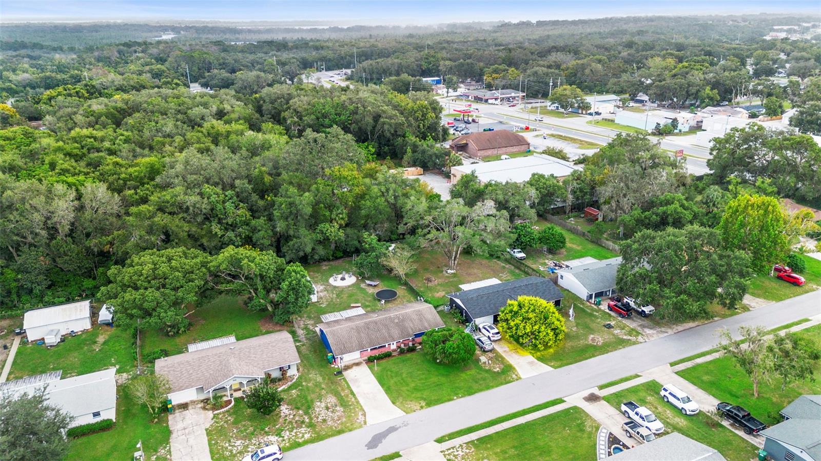 FRUITLAND PARK CENTENNIAL ESTATES - Residential