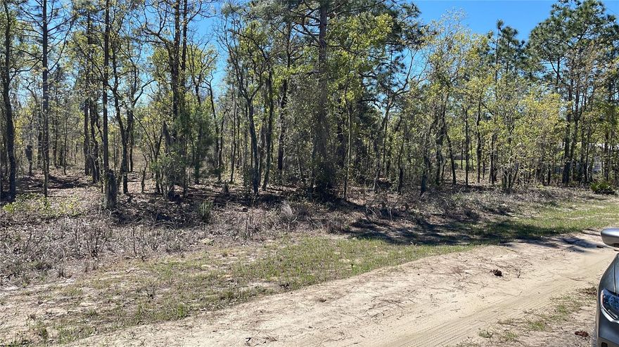 5 Acres on a Residential Vacant Land, owner has not developed, buyer verify all information. Perfect for investor or to build your private paradise away from the city life. Convenient for lots of outdoors activities. This lot has NOT have a number assigned yet, it's the one located between 11150 NE 56th Street & 11210 NE 56th Street.