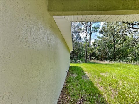 Tiny photo for 8594 N Amboy Drive, Citrus Springs, FL 34433 (MLS # O6451825)