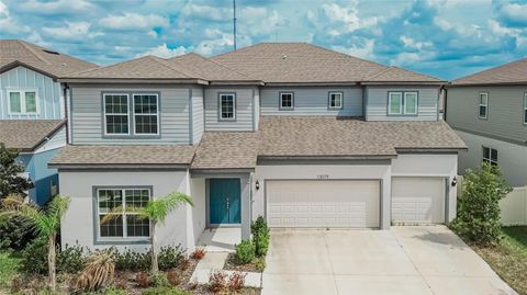 13079 WILLOW GROVE DRIVE RIVERVIEW FL 33579