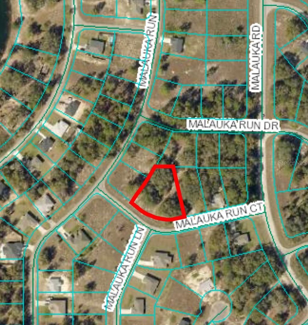 Photo of Tbd Malauka Run Court, Ocklawaha, FL 32179 (MLS # OM690898)