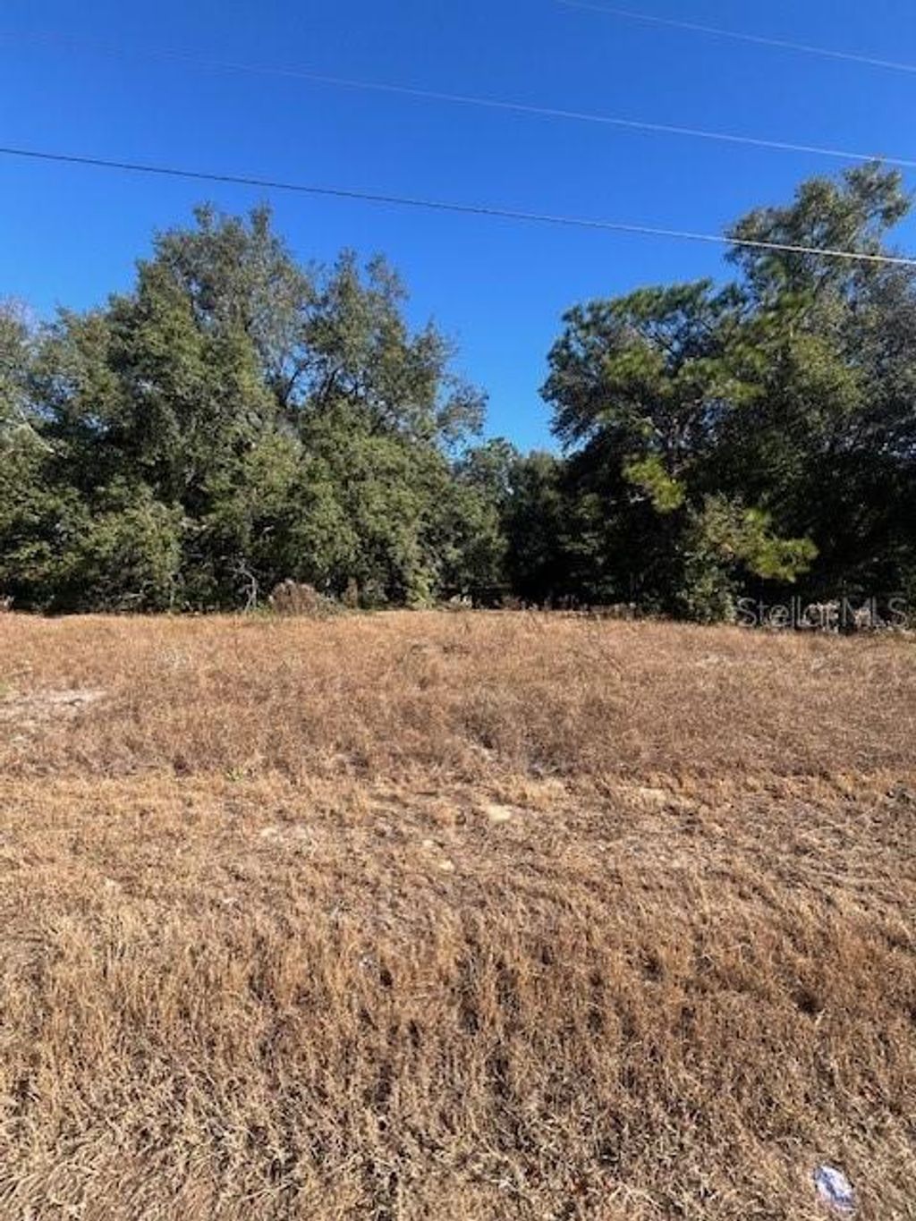 Photo of Tbd Malauka Run Court, Ocklawaha, FL 32179 (MLS # OM690898)