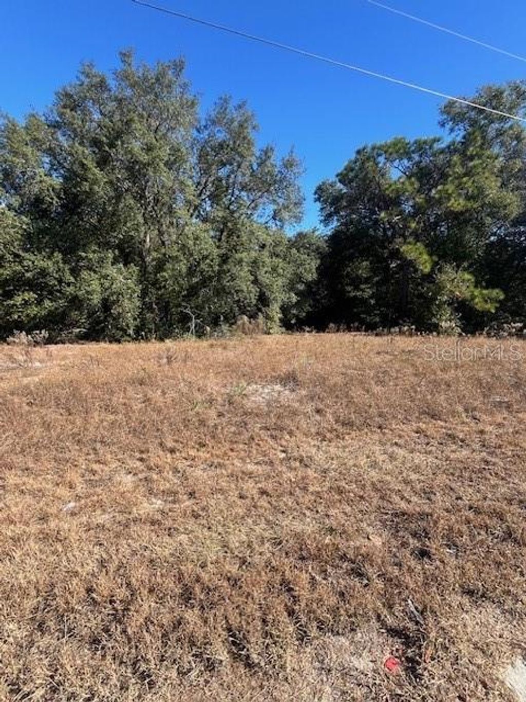 Photo of Tbd Malauka Run Court, Ocklawaha, FL 32179 (MLS # OM690898)