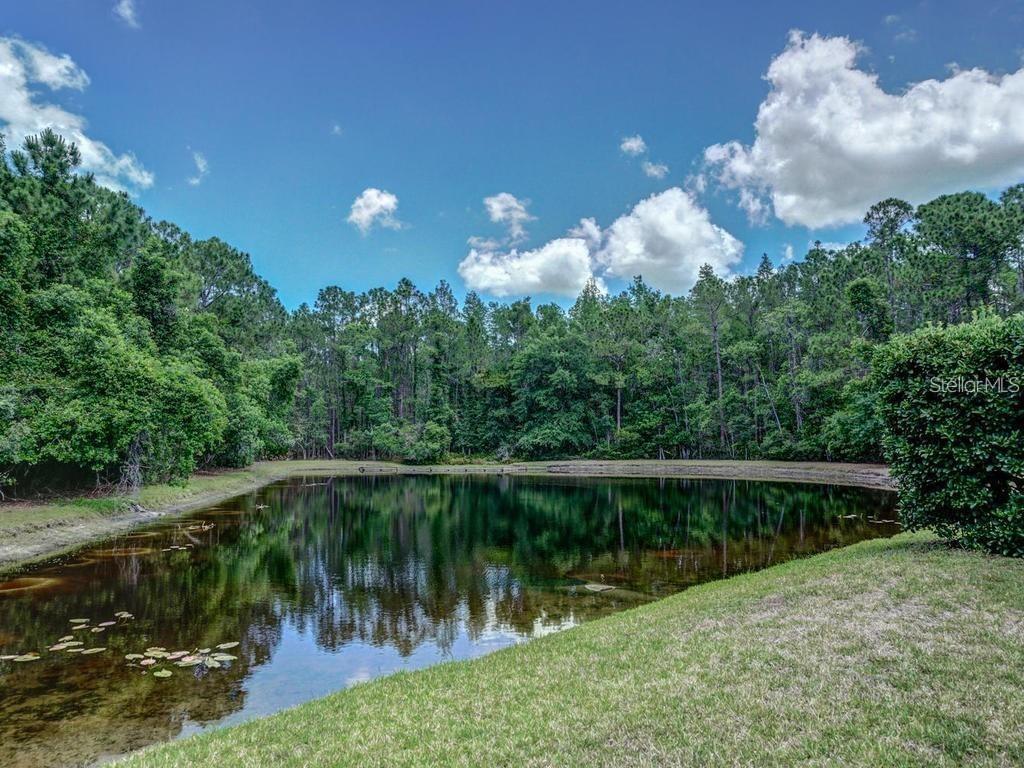 3910 SAYWOOD COURT