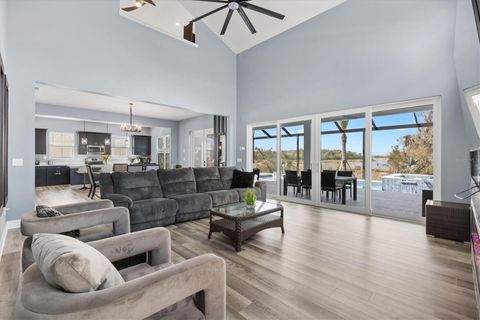 Tiny photo for 2744 Alder Ave, Middleton, FL 34762 (MLS # G5109250)