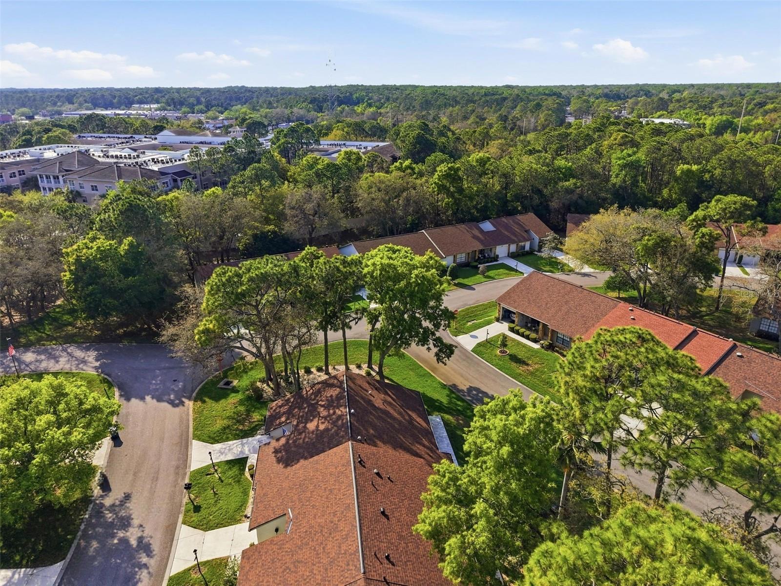 TIMBER PINES - Residential