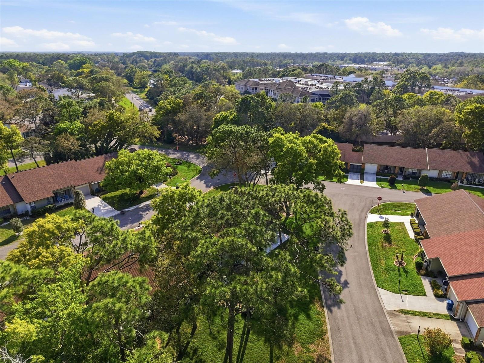 TIMBER PINES - Residential