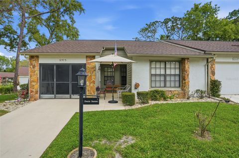 Photo of 6575 Brambleleaf Drive, Spring Hill, FL 34606 (MLS # W7884342)