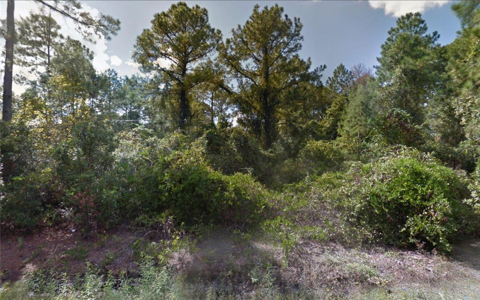 Unassigned EAST PARKWAY