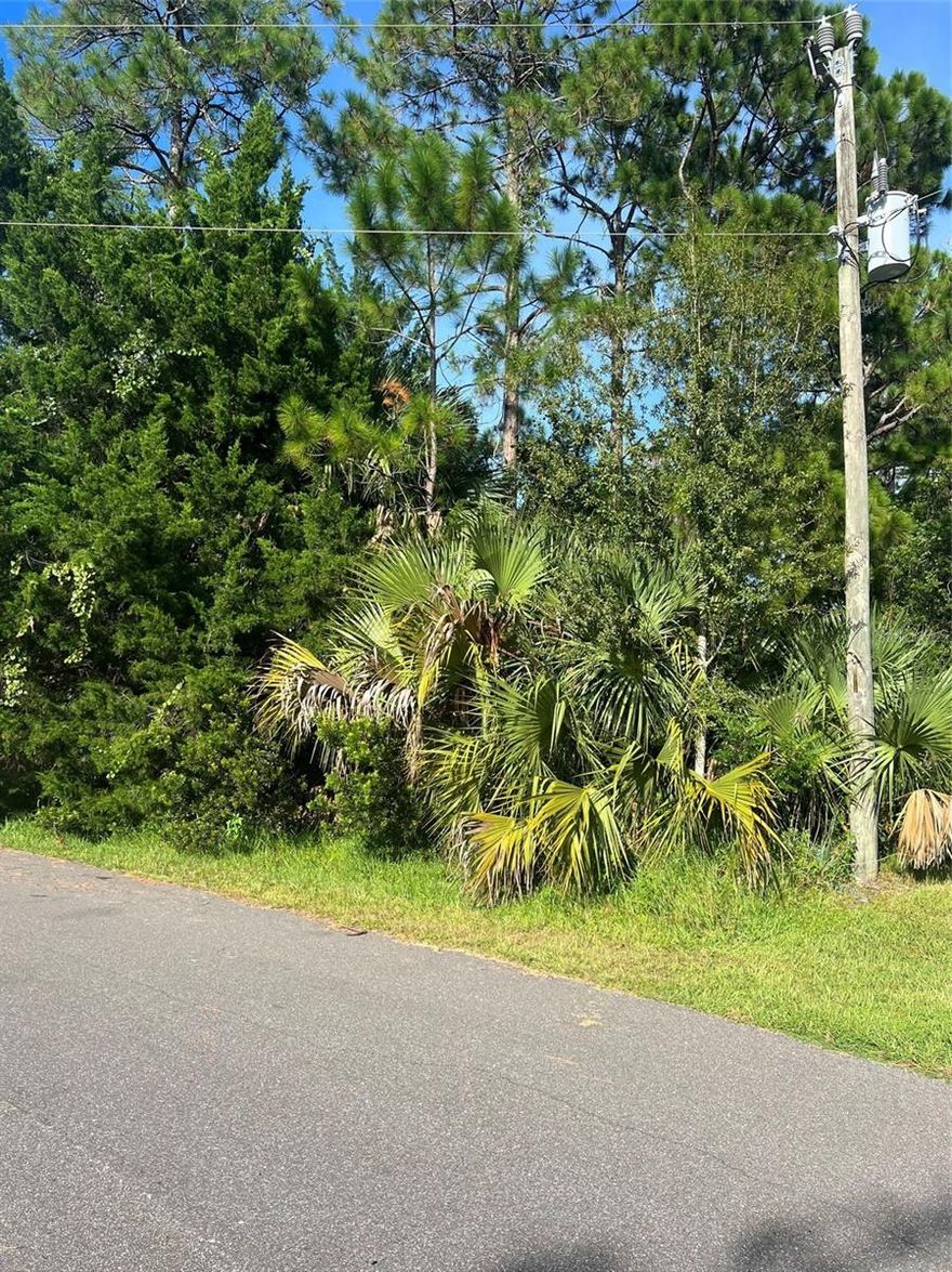 If Your seller is looking for an oversized lot in the heart of Palm Coast , this might be your gem. Close to schools, hospitals, shopping and of course our beautiful Flagler Beach . Half hour away from St Augustine going north or Daytona Beach going south. Make an offer and build your dream home with no timeframe to bulid and choose your own builder.