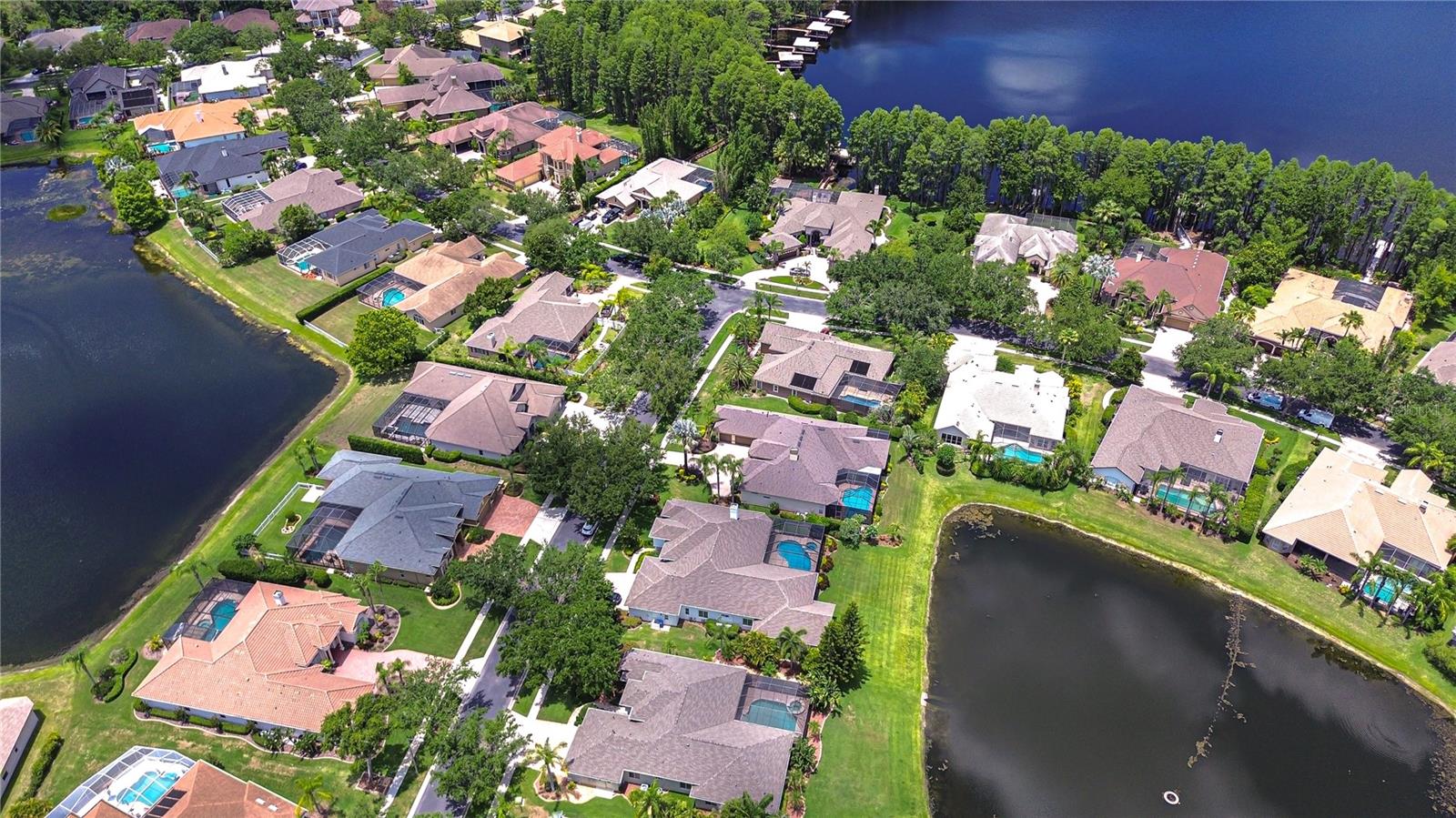 3123 WHITEHEAD LANE