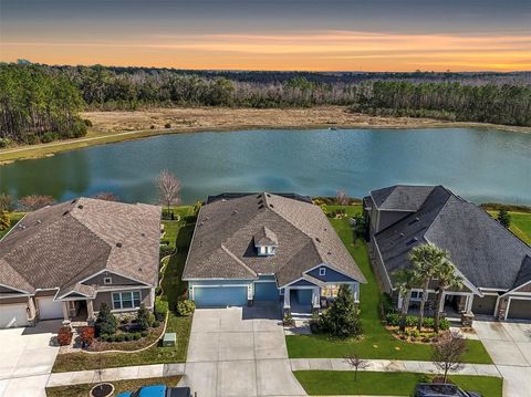 A home in LAND O LAKES