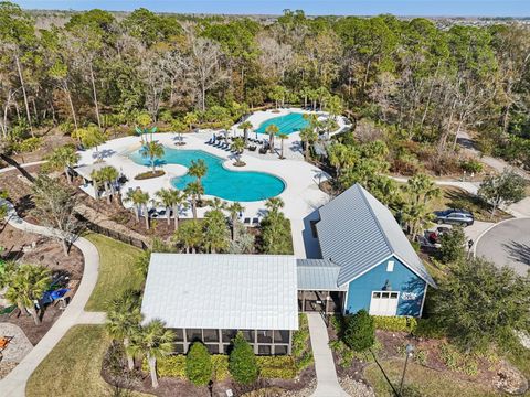 A home in LAND O LAKES