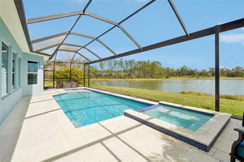 A home in LAND O LAKES