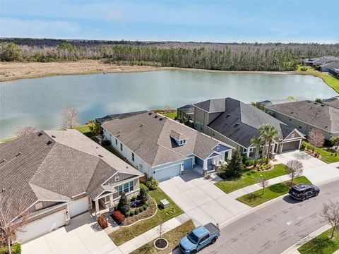 A home in LAND O LAKES