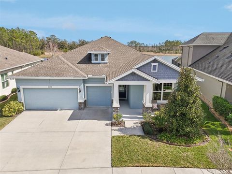 A home in LAND O LAKES