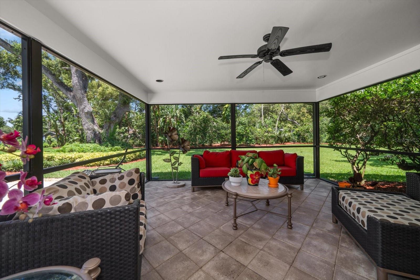 PINELLAS GROVES - Residential