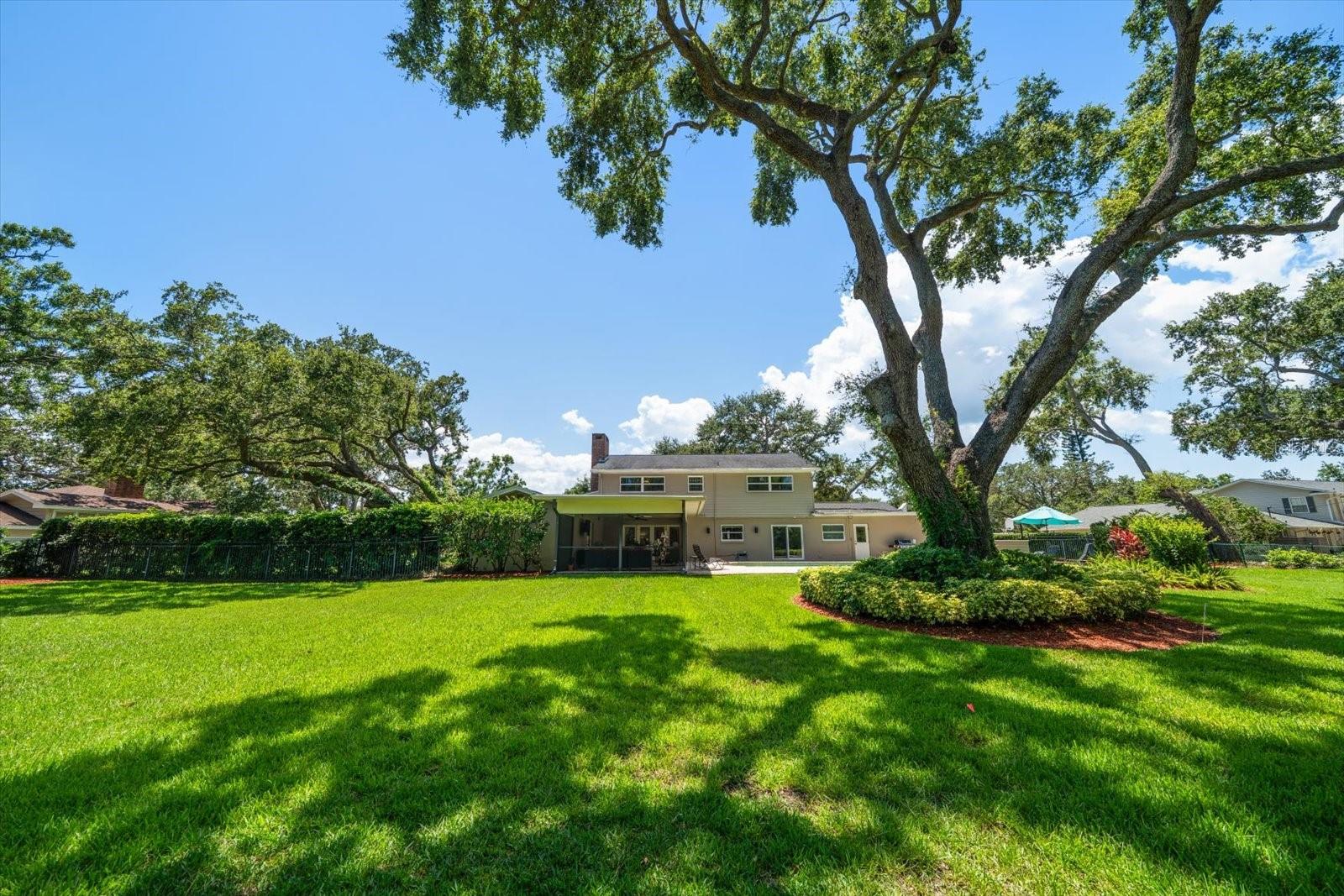 PINELLAS GROVES - Residential