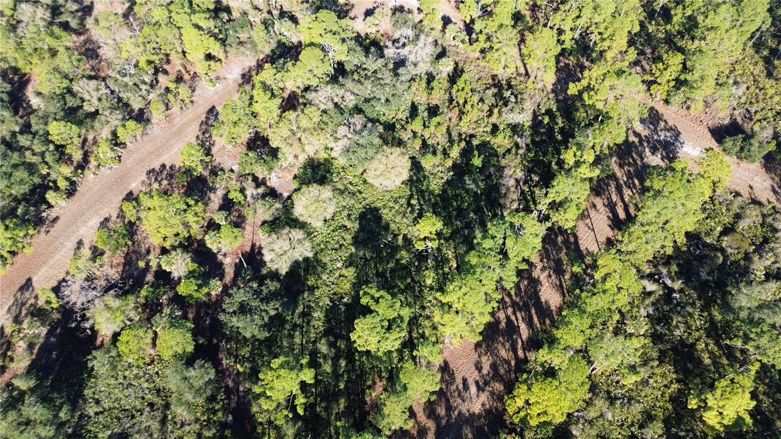 PORT CHARLOTTE SUB 14 REP - Land