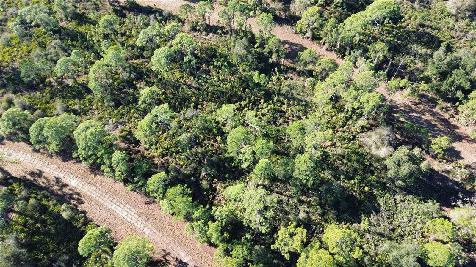 PORT CHARLOTTE SUB 14 REP - Land