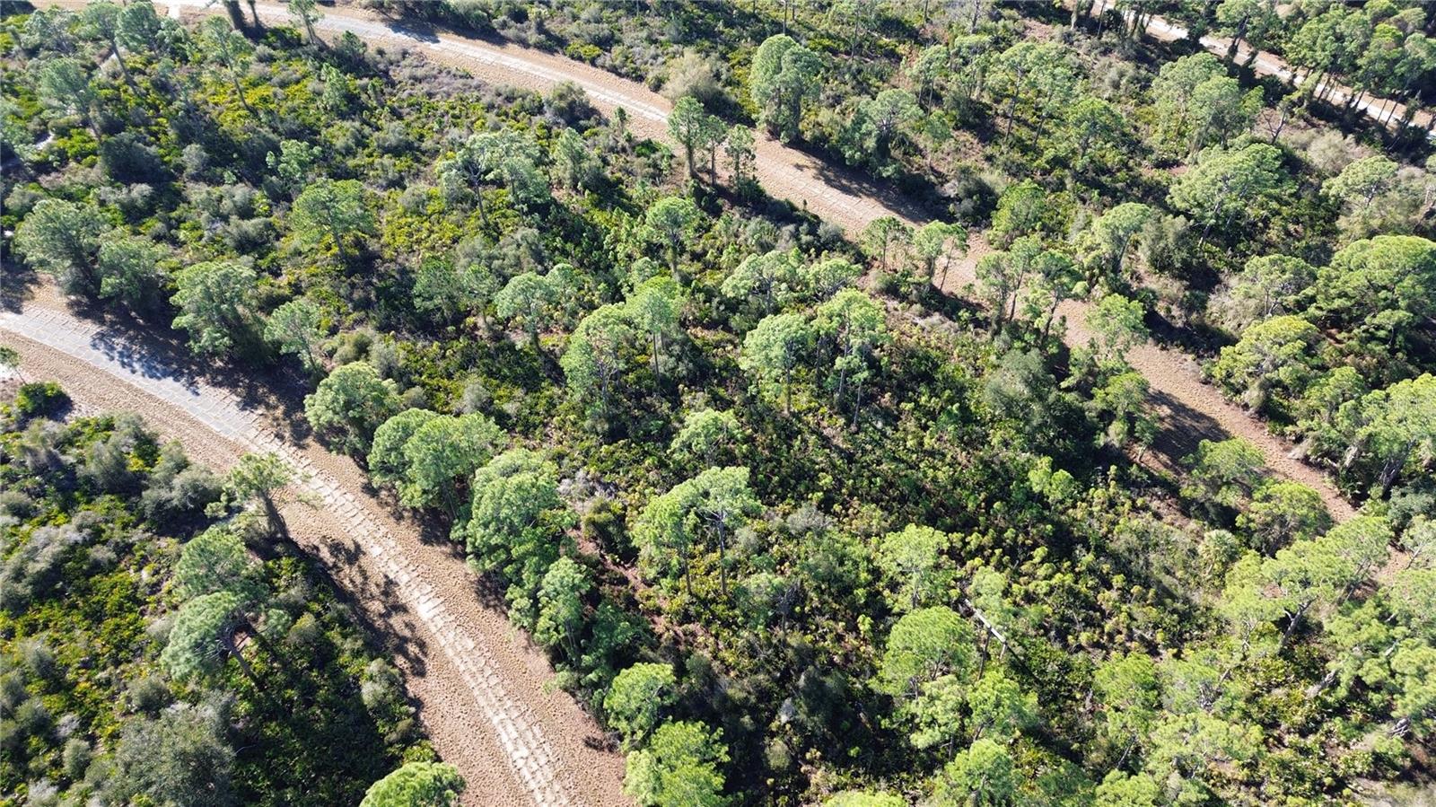 PORT CHARLOTTE SUB 14 REP - Land