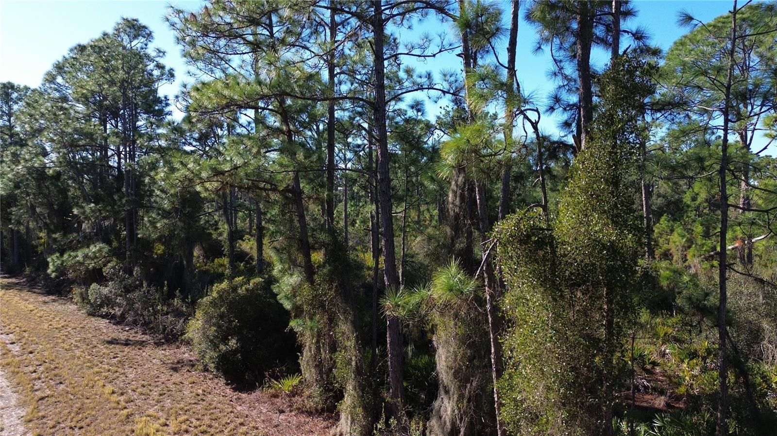 PORT CHARLOTTE SUB 14 REP - Land