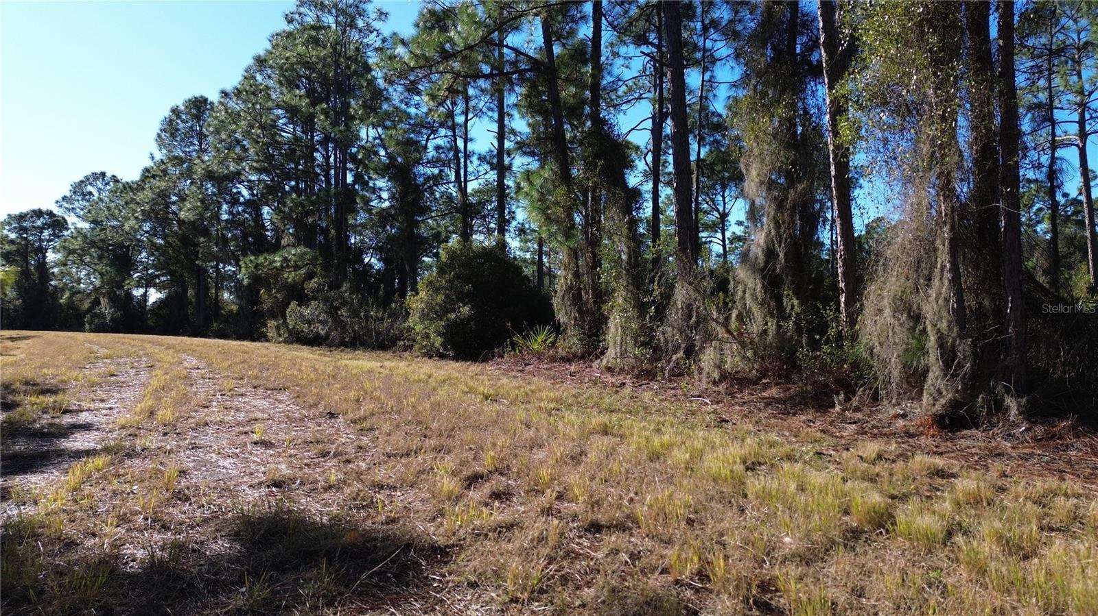 PORT CHARLOTTE SUB 14 REP - Land