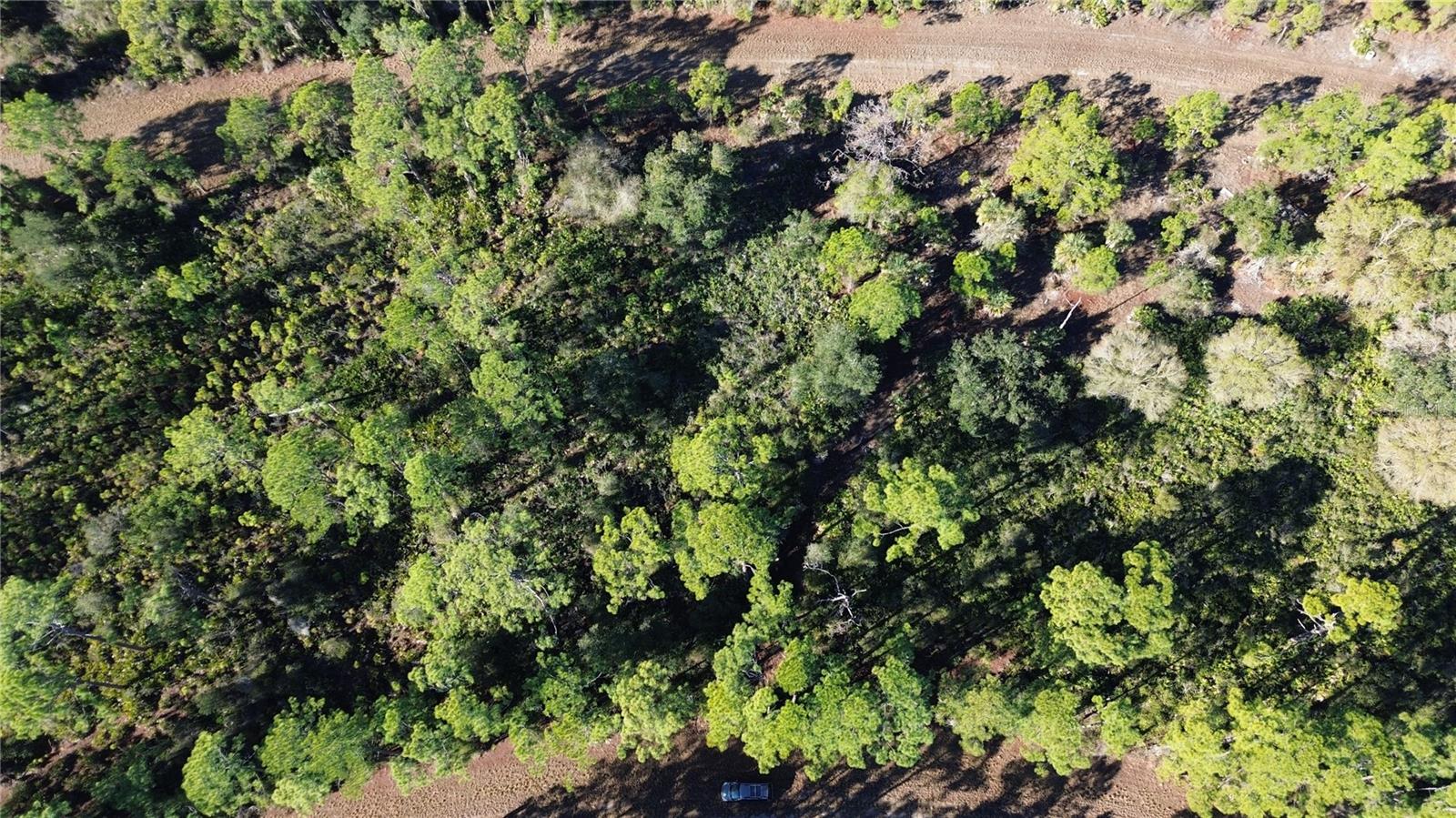 PORT CHARLOTTE SUB 14 REP - Land