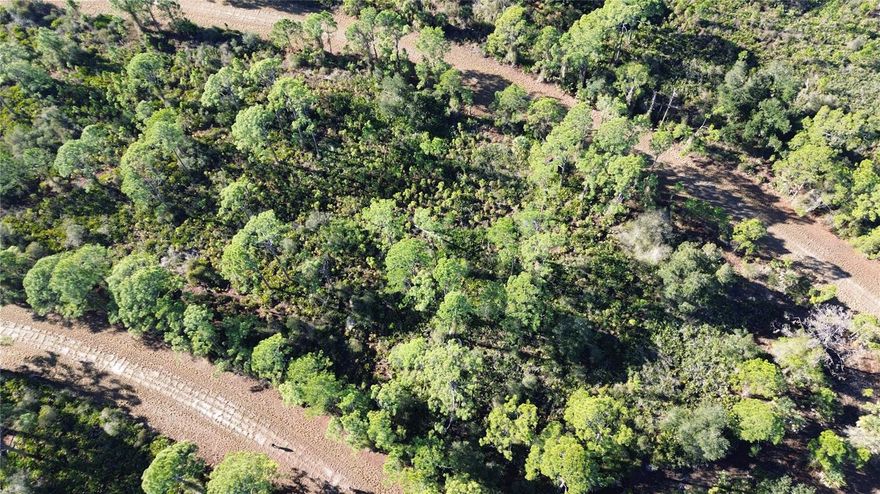 Fantastic opportunity to own a 0.23-acre buildable lot in the desirable City of North Port, Florida - perfect for creating your dream home. Nestled in a peaceful, undeveloped residential plat, this lot offers serenity and seclusion with no immediate neighbors, yet is conveniently located just a short drive from Gulf Coast beaches, shopping, dining, hiking trails, and world-class golf. North Port spans over 200 square miles and is ideally situated between Ft. Myers and Sarasota, making it a prime location to enjoy all that Southwest Florida has to offer. Prime Location: Enjoy the balance of tranquility and convenience with access to outdoor recreation, beaches, and vibrant local amenities. As of 3/13/26 this lot is not located in a scrub-jay habitat. Whether you’re looking to invest, build your dream home, or secure a piece of SWFL for the future, this property offers endless possibilities. Don’t miss this rare opportunity!