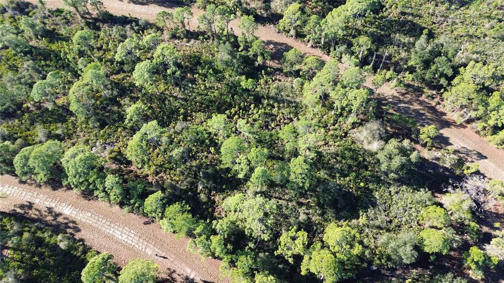 Photo of Cody Circle, North Port, FL 34291 (MLS # TB8486597)