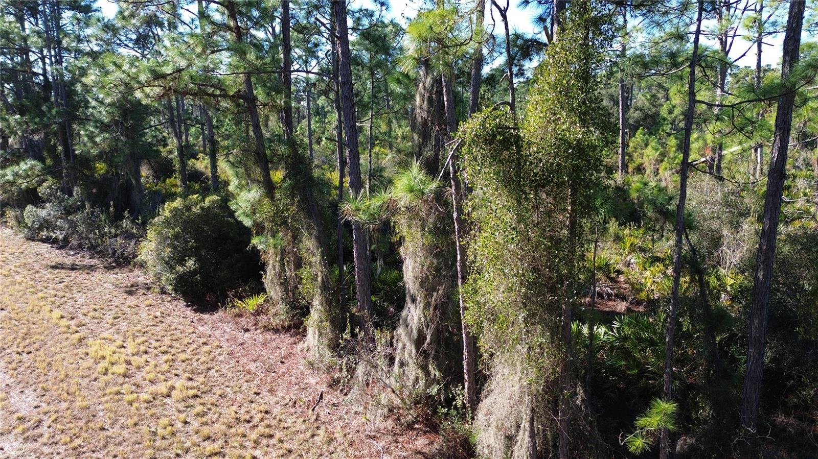 PORT CHARLOTTE SUB 14 REP - Land