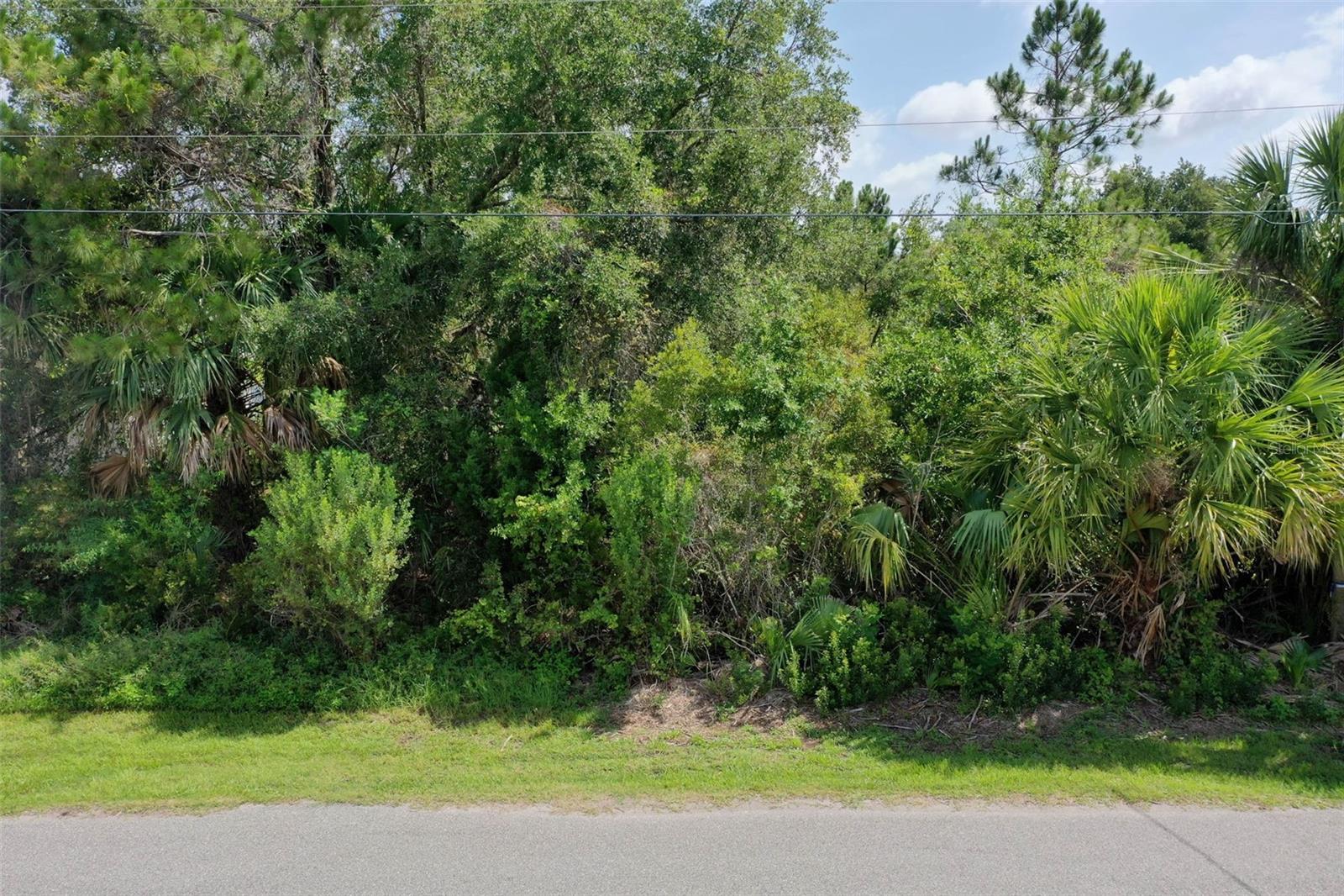 4 BUFFALO PLAINS LANE