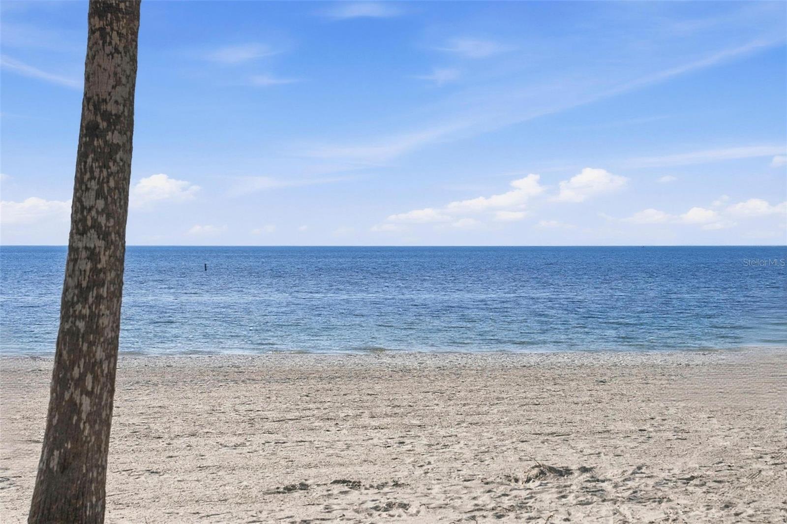 EXPLORERS COVE - Residential