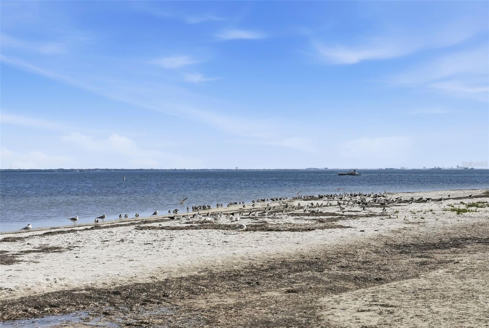 EXPLORERS COVE - Residential