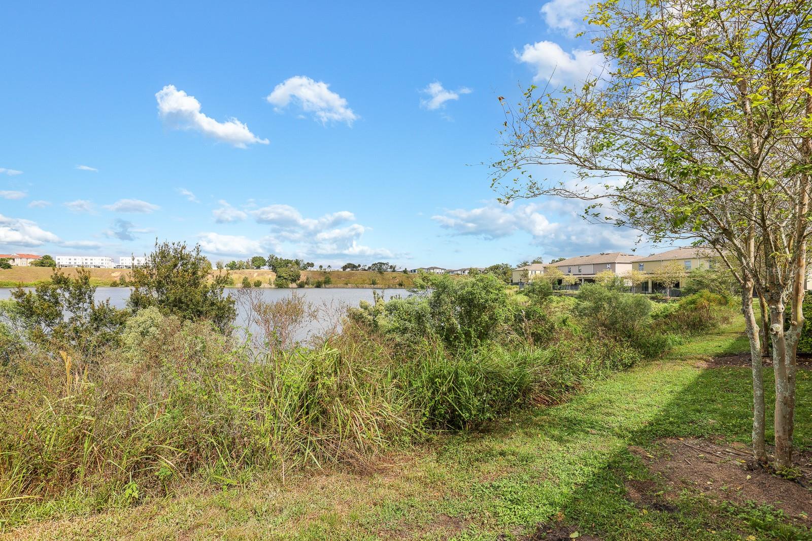LAKE BLUFF/TOWN CENTER EAST-PH - Residential