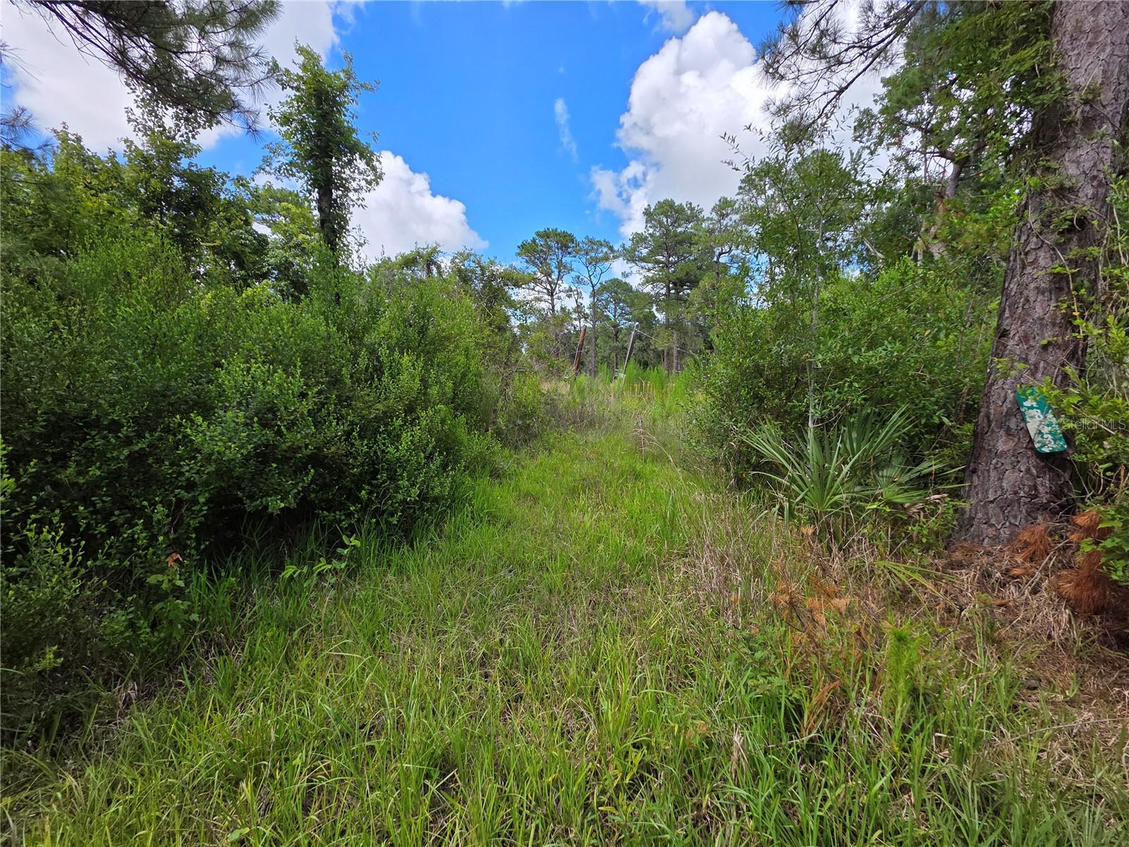 4863 MEADOW GREEN ROAD