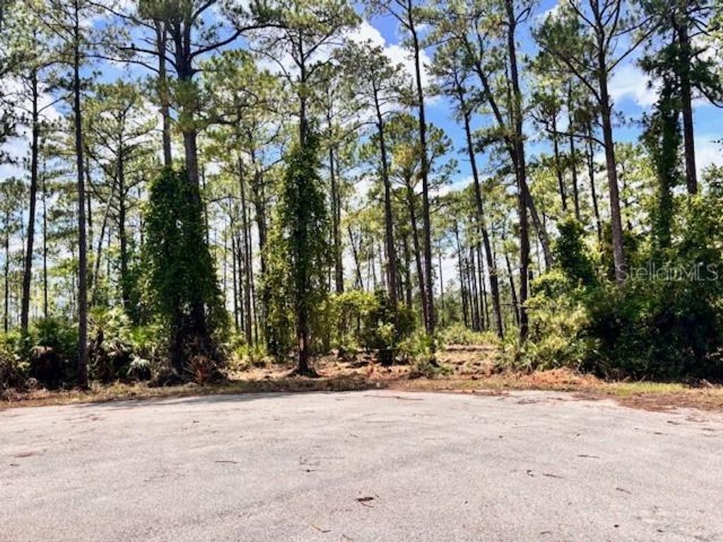 Photo of Chinaberry Way, Eustis, FL 32736 (MLS # O6350936)