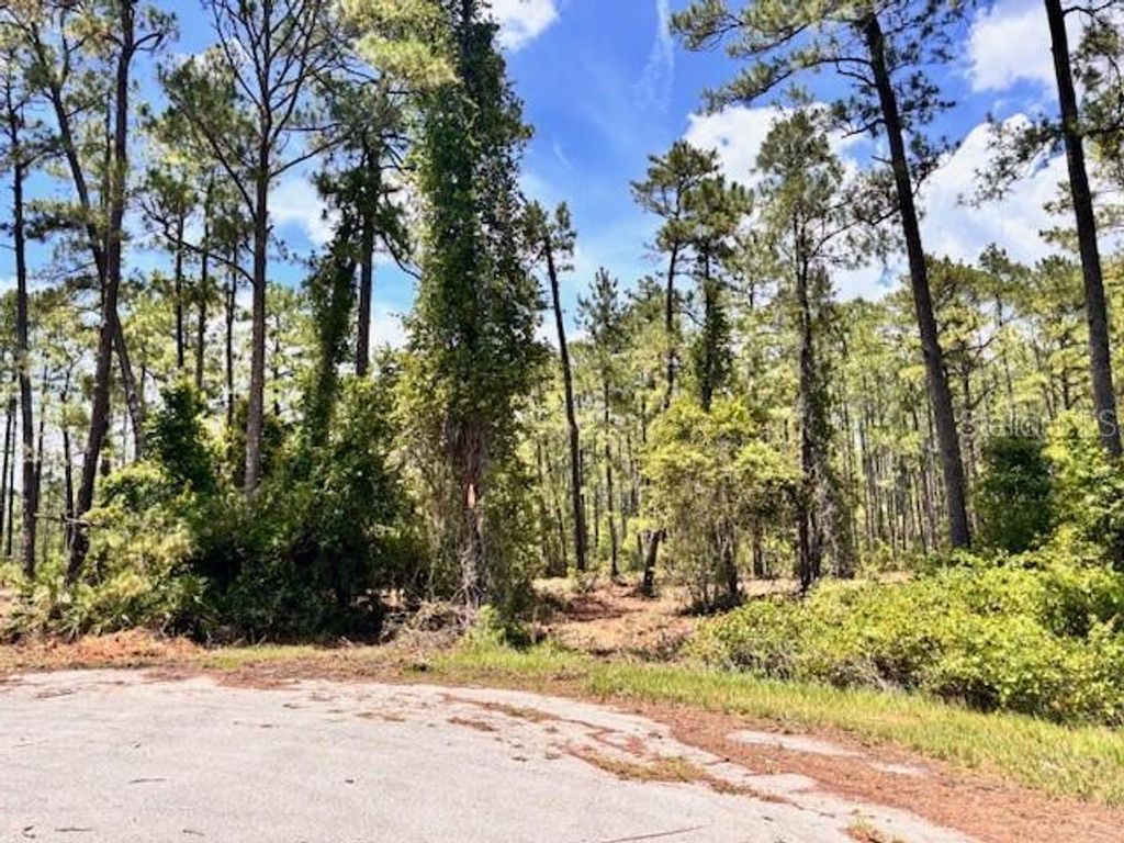 Photo of Chinaberry Way, Eustis, FL 32736 (MLS # O6350936)