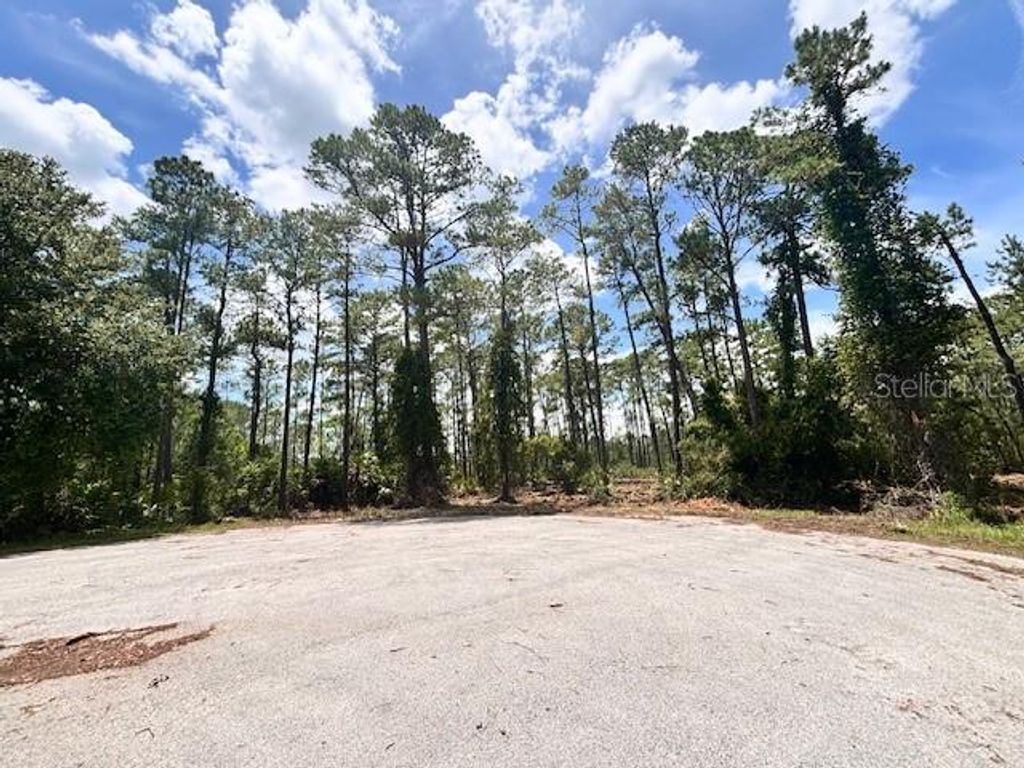 Photo of Chinaberry Way, Eustis, FL 32736 (MLS # O6350936)