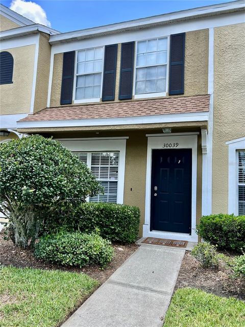 30039 GRANDA HILLS COURT WESLEY CHAPEL FL 33543