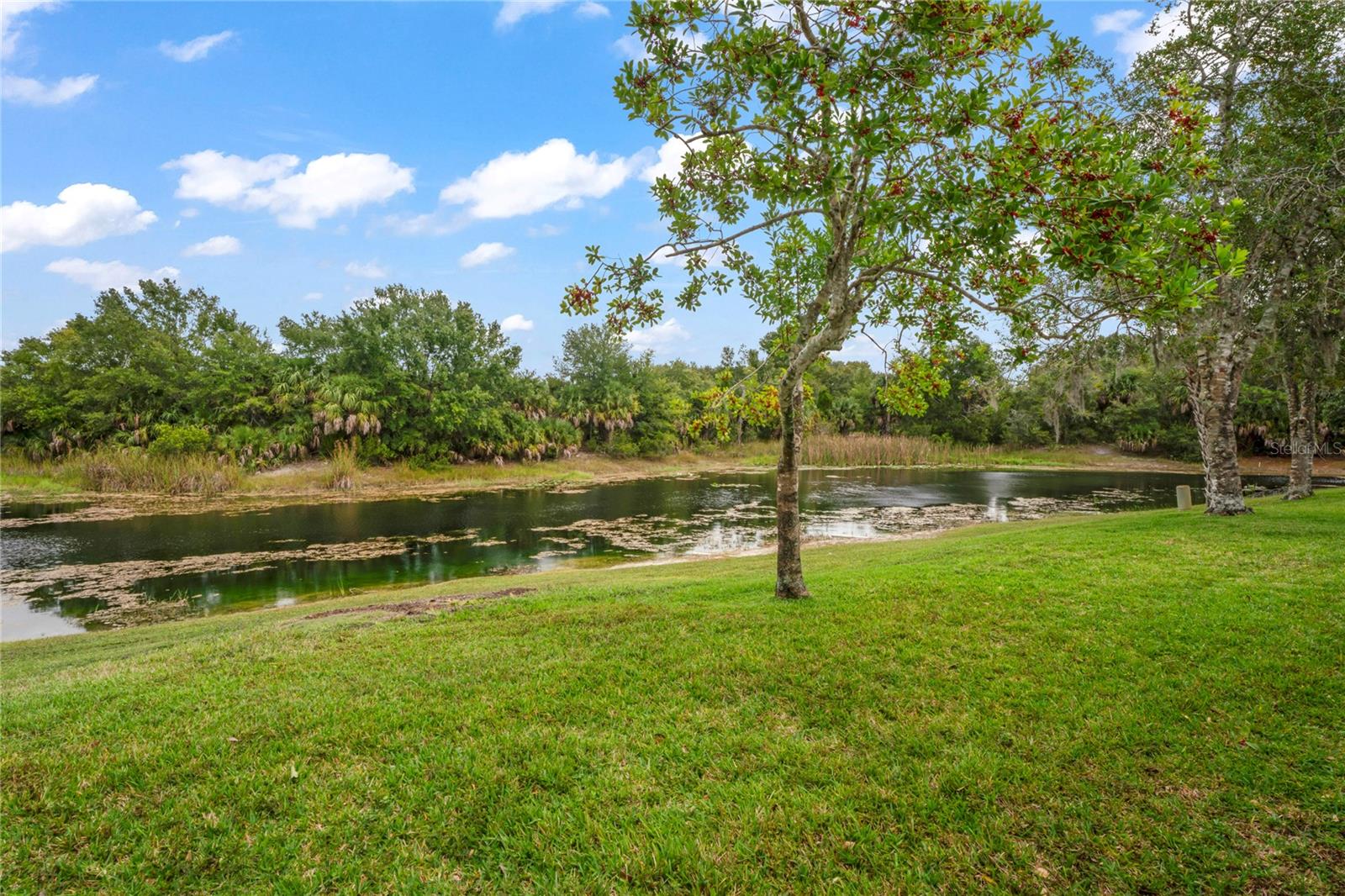 HEATHER WALK - Residential