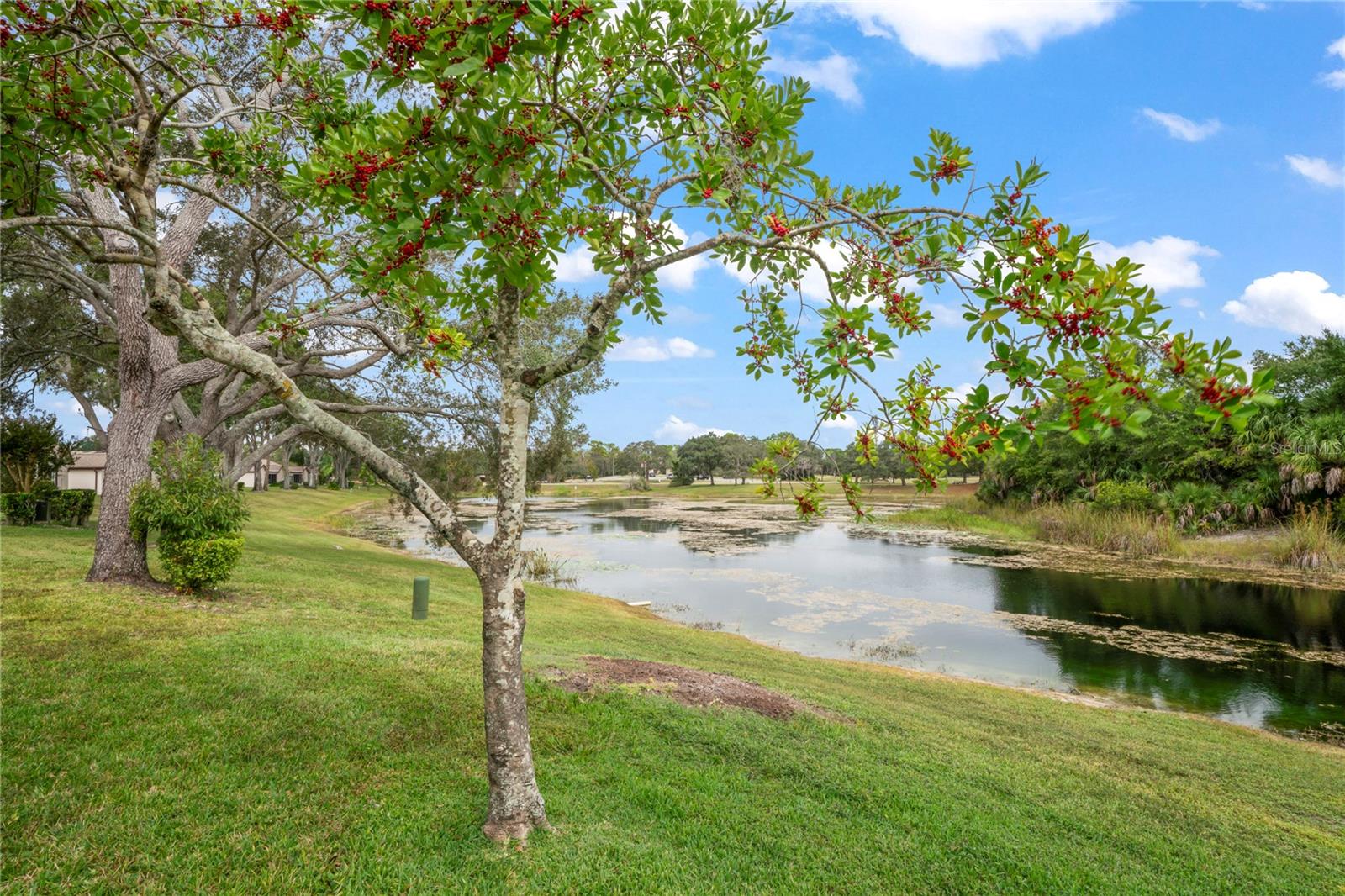 HEATHER WALK - Residential