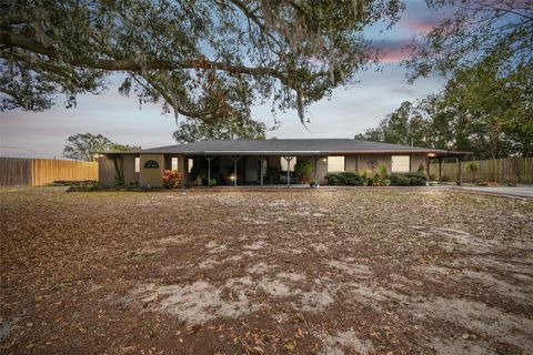 A home in POLK CITY