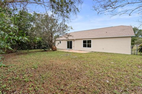 A home in DELTONA