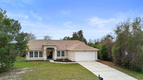 A home in DELTONA