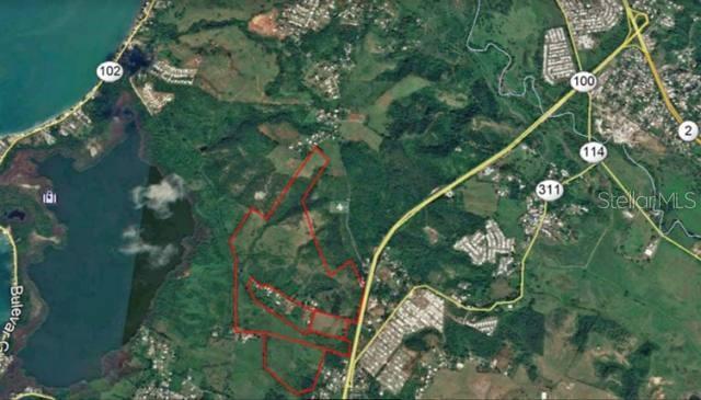 350 Acres of Land in Cabo Rojo for sale at $100,000 per Acre. Zoning is A3